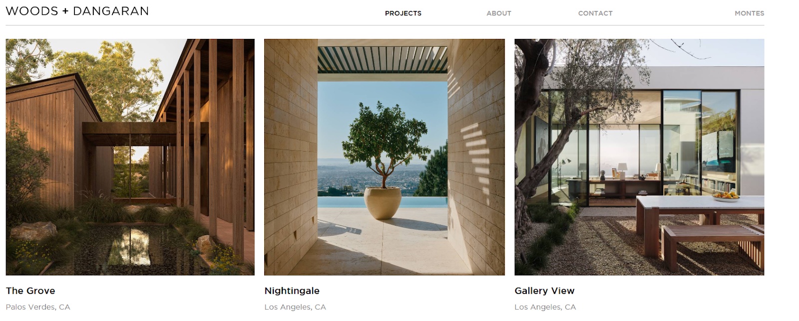 Screenshot of Woods + Dangaran website (woodsdangaran.com)