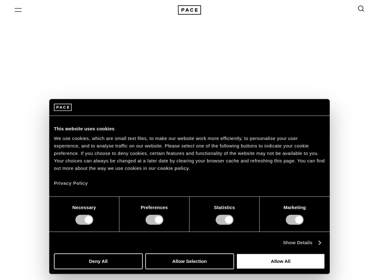 Screenshot of Pace website (pacegallery.com)
